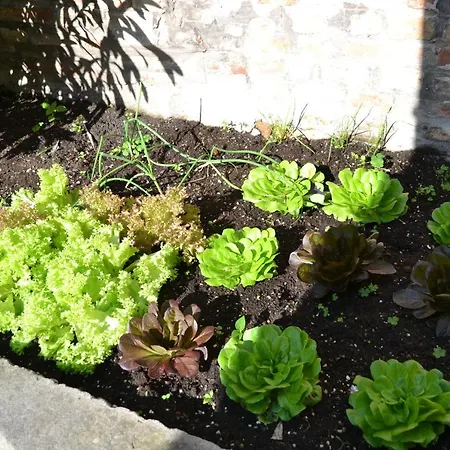 Ca' Ermina & Garden * Wenecja