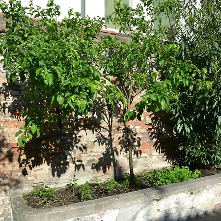 Ca' Ermina & Garden Апартаменты Венеция