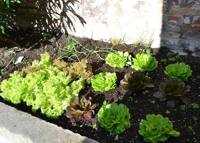 Ca' Ermina & Garden * Venecia