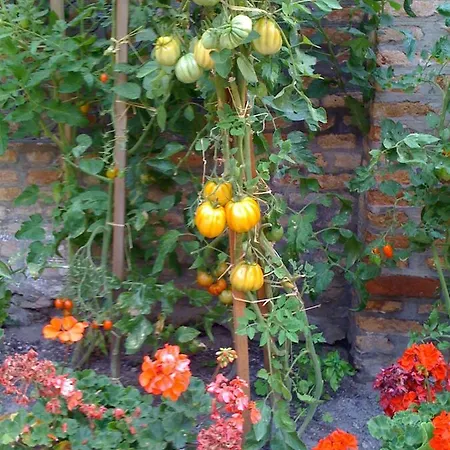 Apartament Ca' Ermina & Garden